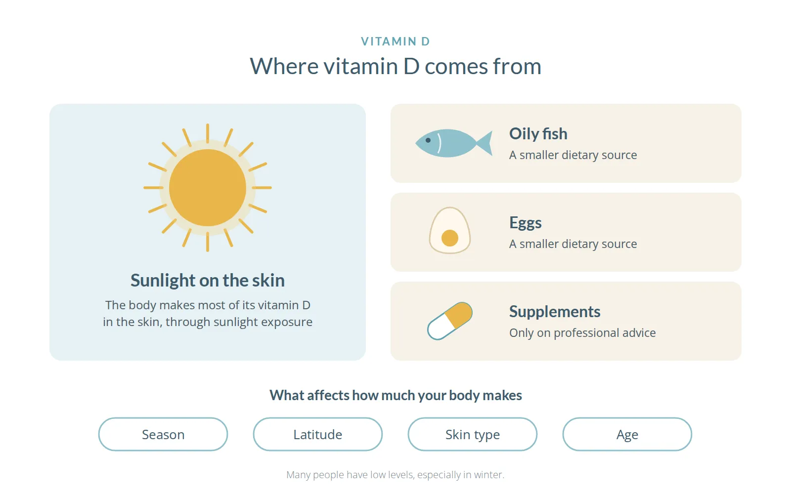 Diagram titled Where vitamin D comes from: sunlight on the skin, oily fish, eggs and supplements