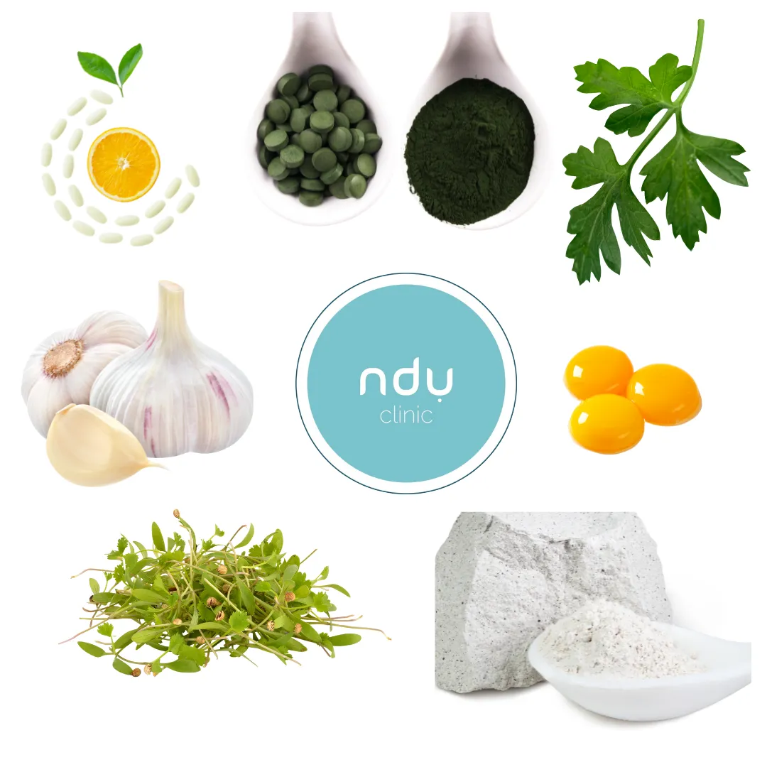 Arrangement of green tablets, green powder, parsley, garlic, egg yolks, sprouts and white clay around the ndu logo